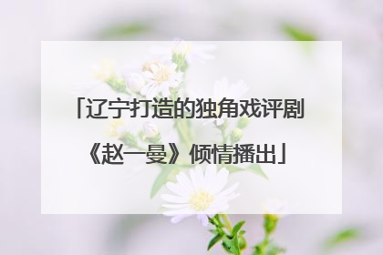 辽宁打造的独角戏评剧《赵一曼》倾情播出