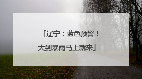 辽宁：蓝色预警！大到暴雨马上就来
