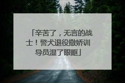 辛苦了，无言的战士！警犬退役撒娇训导员湿了眼眶