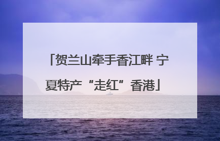 贺兰山牵手香江畔 宁夏特产“走红”香港