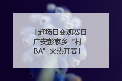 赶场日变观赛日 广安彭家乡“村BA”火热开赛