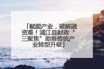 赋能产业，破解融资难！浦江县财政“三聚焦”助推传统产业转型升级