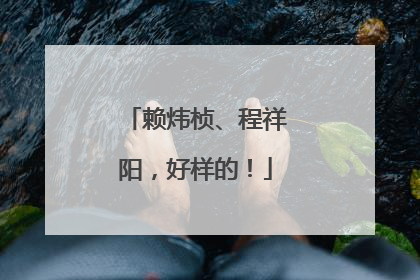 赖炜桢、程祥阳，好样的！