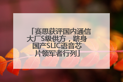 赛思获评国内通信大厂S级供方，跻身国产SLIC语音芯片领军者行列