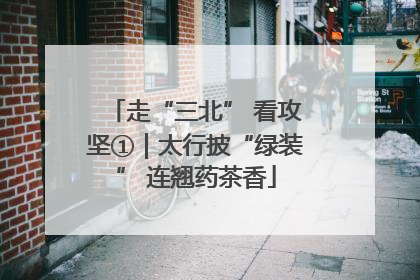 走“三北” 看攻坚①｜太行披“绿装” 连翘药茶香