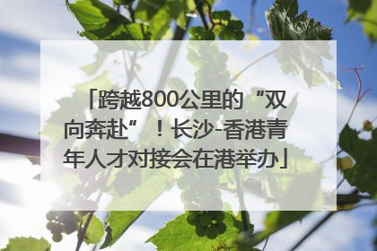 跨越800公里的“双向奔赴”！长沙-香港青年人才对接会在港举办