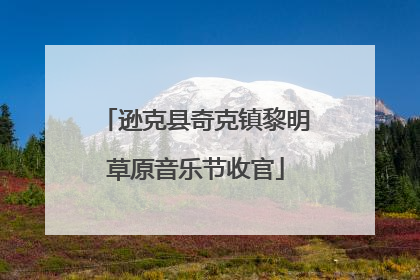 逊克县奇克镇黎明草原音乐节收官