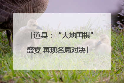 道县：“大地围棋”盛宴 再现名局对决