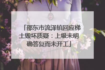邵东市流泽镇回应梯土毁坏质疑：上级未明确答复而未开工