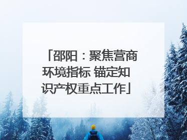 邵阳：聚焦营商环境指标 锚定知识产权重点工作