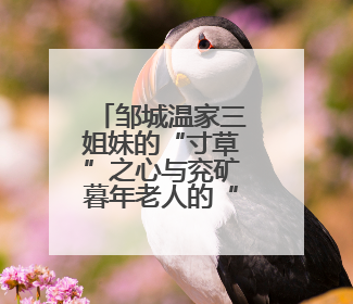 邹城温家三姐妹的“寸草”之心与兖矿暮年老人的“春晖”之乐