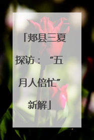 郏县三夏探访：“五月人倍忙”新解