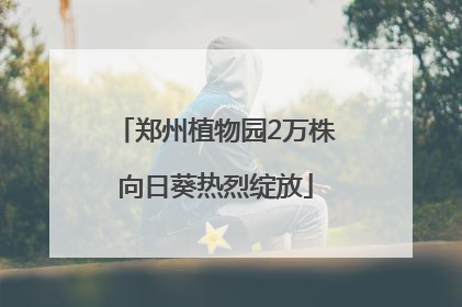 郑州植物园2万株向日葵热烈绽放