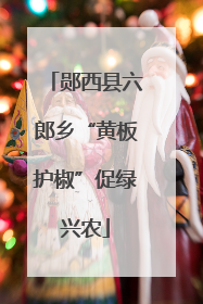 郧西县六郎乡“黄板护椒”促绿兴农