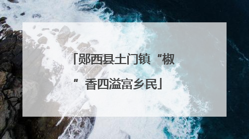 郧西县土门镇“椒”香四溢富乡民