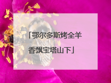 鄂尔多斯烤全羊香飘宝塔山下