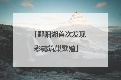 鄱阳湖首次发现彩鹮筑巢繁殖