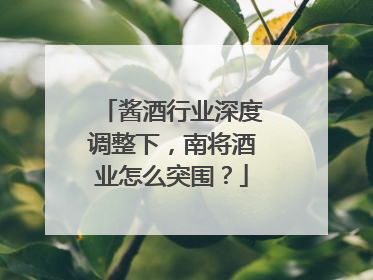 酱酒行业深度调整下，南将酒业怎么突围？