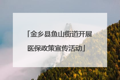 金乡县鱼山街道开展医保政策宣传活动
