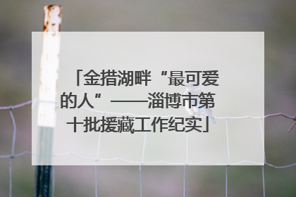 金措湖畔“最可爱的人”——淄博市第十批援藏工作纪实