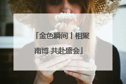 金色瞬间丨相聚南博 共赴盛会