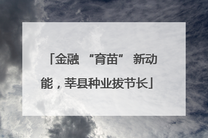 金融 “育苗” 新动能，莘县种业拔节长