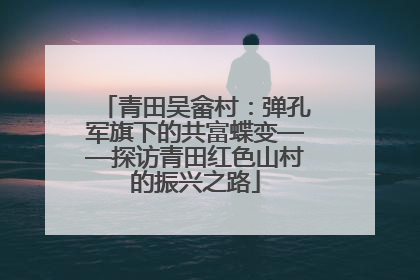青田吴畲村：弹孔军旗下的共富蝶变——探访青田红色山村的振兴之路