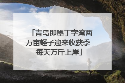 青岛即墨丁字湾两万亩蛏子迎来收获季 每天万斤上岸