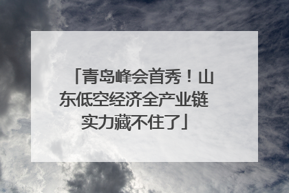 青岛峰会首秀！山东低空经济全产业链实力藏不住了