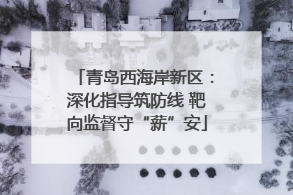 青岛西海岸新区：深化指导筑防线 靶向监督守“薪”安