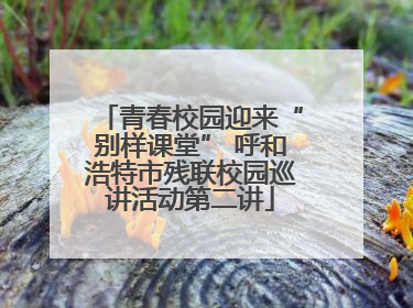 青春校园迎来“别样课堂” 呼和浩特市残联校园巡讲活动第二讲