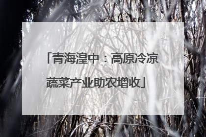青海湟中：高原冷凉蔬菜产业助农增收