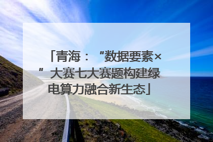 青海：“数据要素×”大赛七大赛题构建绿电算力融合新生态