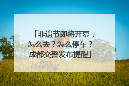 非遗节即将开幕，怎么去？怎么停车？成都交警发布提醒
