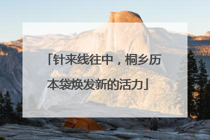 针来线往中，桐乡历本袋焕发新的活力