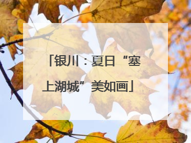 银川：夏日“塞上湖城”美如画