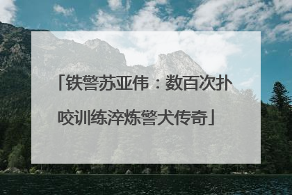 铁警苏亚伟：数百次扑咬训练淬炼警犬传奇