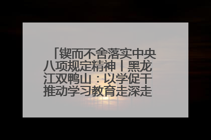 锲而不舍落实中央八项规定精神丨黑龙江双鸭山：以学促干推动学习教育走深走实 从小事入手写好“民生答卷”