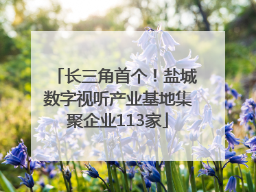 长三角首个！盐城数字视听产业基地集聚企业113家