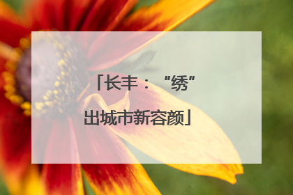 长丰：“绣”出城市新容颜