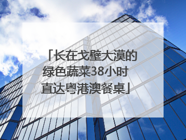 长在戈壁大漠的绿色蔬菜38小时直达粤港澳餐桌