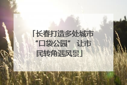 长春打造多处城市“口袋公园” 让市民转角遇风景