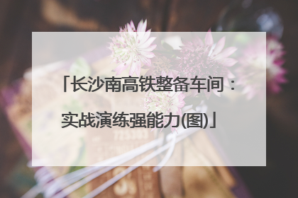 长沙南高铁整备车间：实战演练强能力(图)