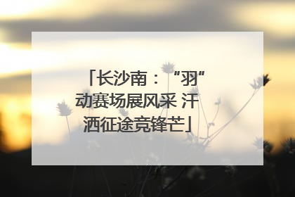 长沙南：“羽”动赛场展风采 汗洒征途竞锋芒