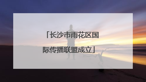 长沙市雨花区国际传播联盟成立