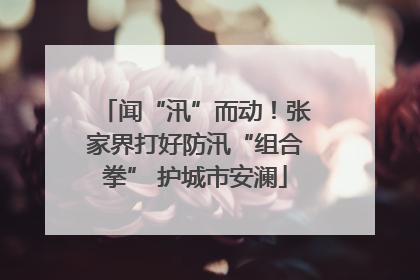 闻“汛”而动！张家界打好防汛“组合拳” 护城市安澜