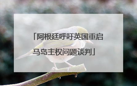 阿根廷呼吁英国重启马岛主权问题谈判