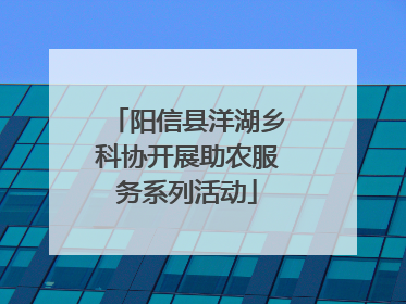 阳信县洋湖乡科协开展助农服务系列活动