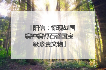 阳信：惊现战国编钟编镈石磬国宝级珍贵文物