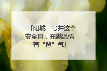 阳城二号井这个安全月，充满温情有“爸”气